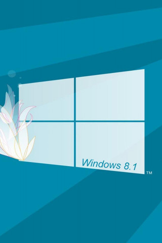 windows 8.1