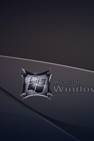 windows 8