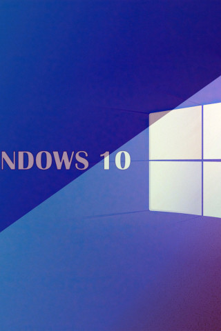 Windows 10 (8)