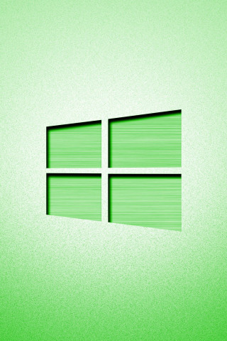 Windows (4)