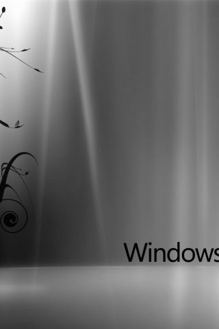 Windows7 (13).jpg