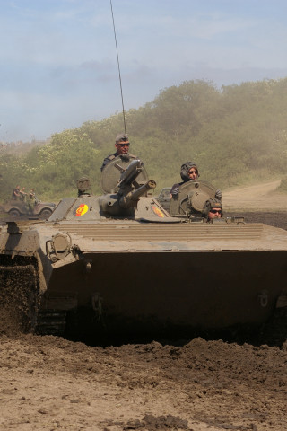 BMP (15).jpg