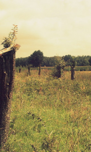 Wieś Kacperków (niedaleko Białobrzeg radomskich)