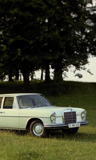 Mercedes-Benz S-Klasse (W111 112).jpg