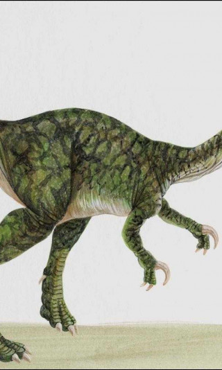 dinozaury (17).jpg