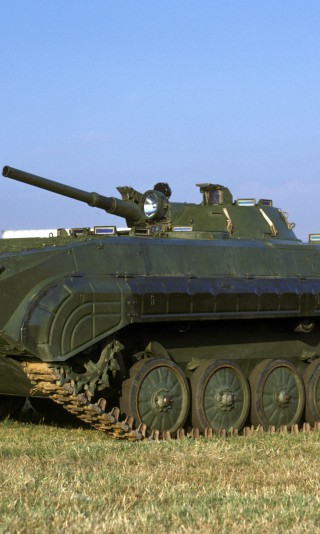 BMP (25).jpg