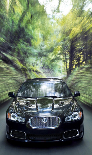 Jaguar 19