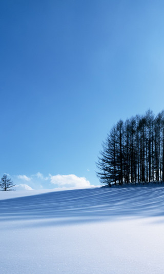 Krajobraz zima 29