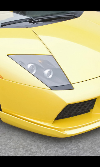 Lamborghini Murcielago Hamann 2007 5.jpg