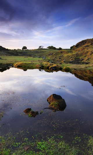 Sunrise at Otuataua Stonefields, Auckland, New Zealand.jpg