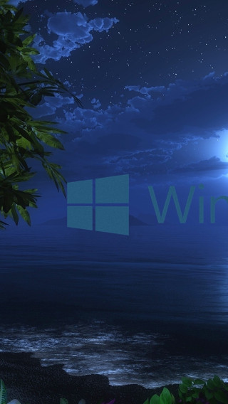 windows 10