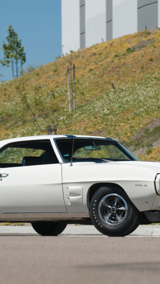 Pontiac Firebird Trans Am '1969.jpg