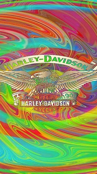 Harley - Davidson