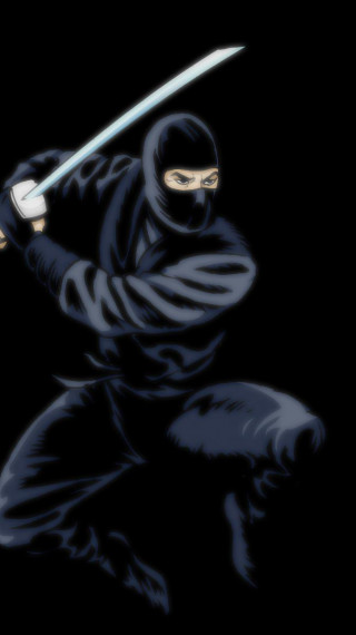Ninja (2).jpg