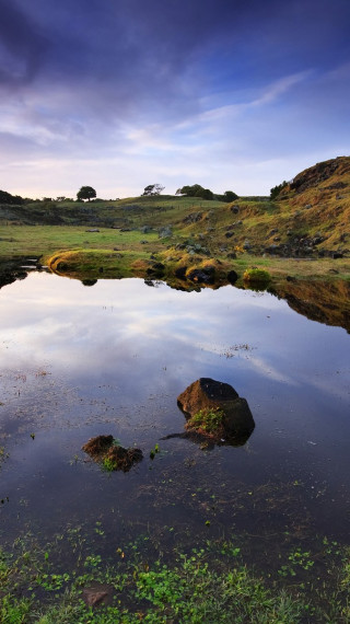 Sunrise at Otuataua Stonefields, Auckland, New Zealand.jpg