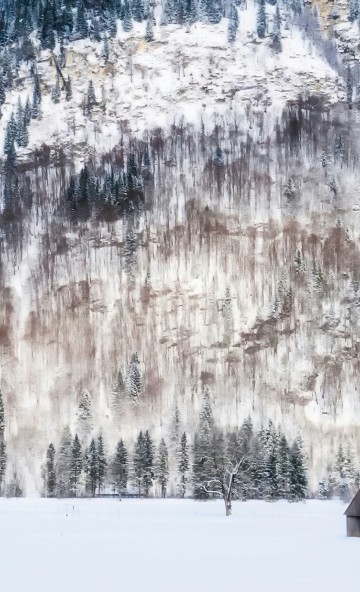Zima w Niemczech, góry i drzewa