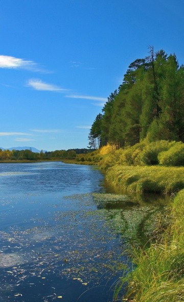 Piękny HD  Widok 80