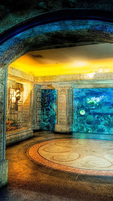 Shark-Reef-Aquarium