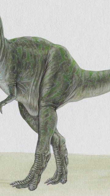 dinozaury (10).jpg