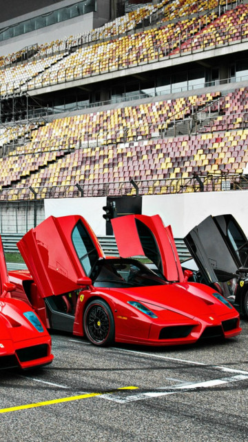 Ferrari auto 82
