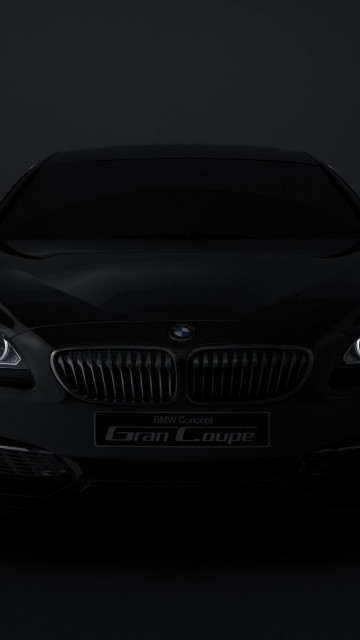 BMW (140).jpg