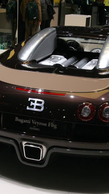 Bugatti (7).jpg