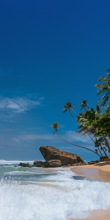 Krajobraz morski z palmami na plaży