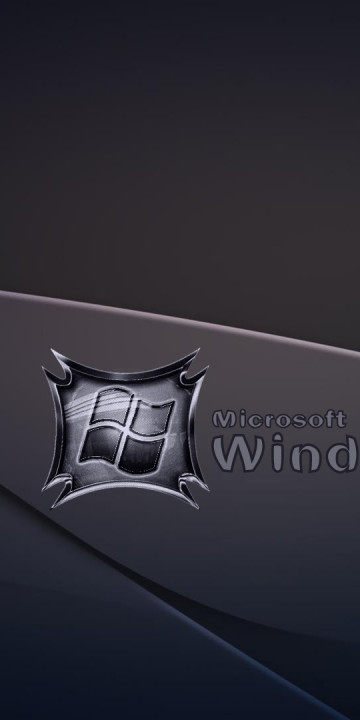 windows 8