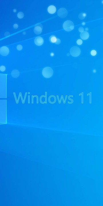 Windows 11