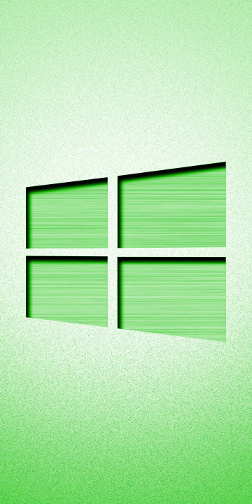 Windows (4)