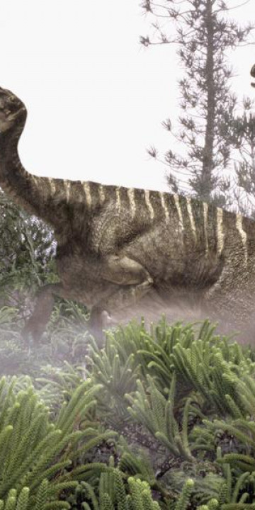 dinozaur (19).jpg