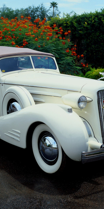 Cadillac V16 Series 90 Town Cabriolet '1936.jpg