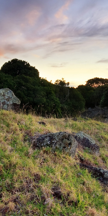 tapeta-panoramiczna (60).jpg