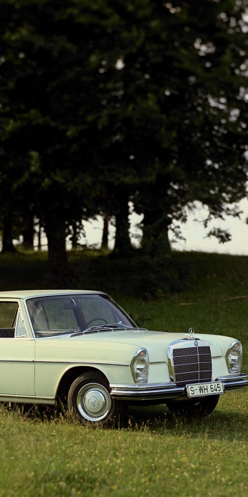 Mercedes-Benz S-Klasse (W111 112).jpg