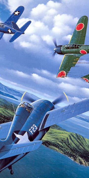 tapety-samoloty (93).jpg