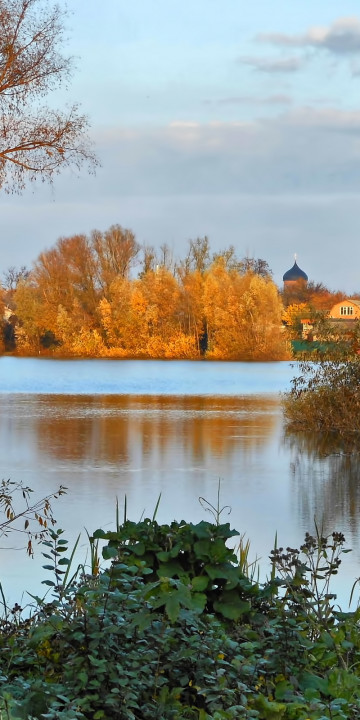 Drzewa nad rzeką