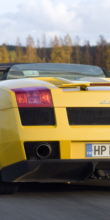 lambo03.jpg