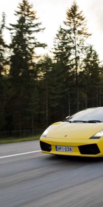 lambo05.jpg