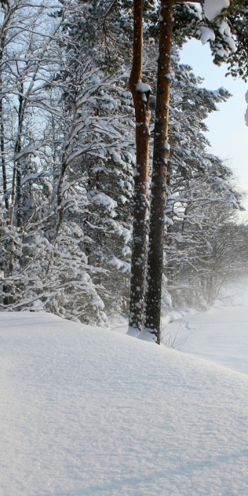 Krajobraz zima 49