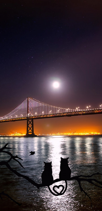 San Francisco i widok na most Golden Gate i niebo