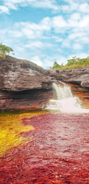 Caño Cristales