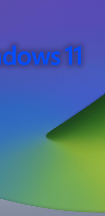 Windows 11 (1)