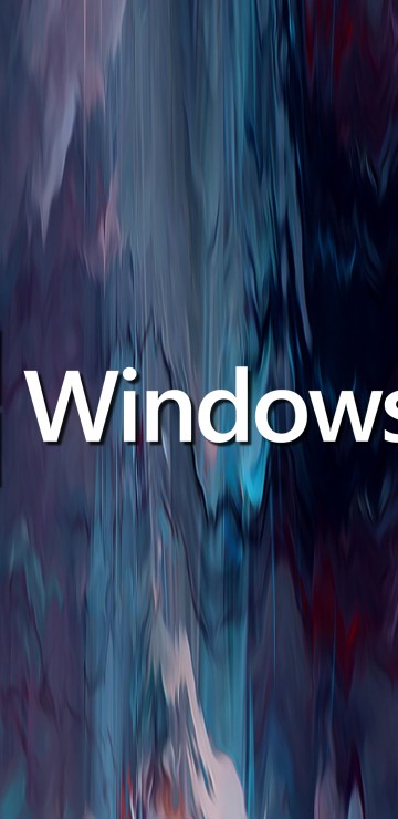 Windows 11 (2)