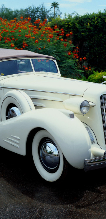 Cadillac V16 Series 90 Town Cabriolet '1936.jpg