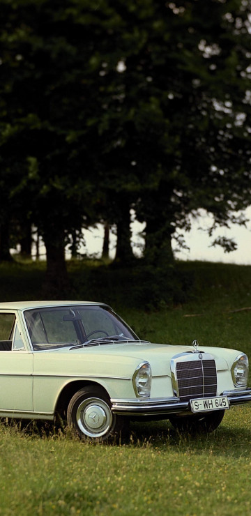 Mercedes-Benz S-Klasse (W111 112).jpg