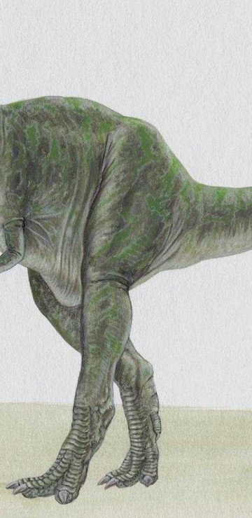 dinozaury (10).jpg