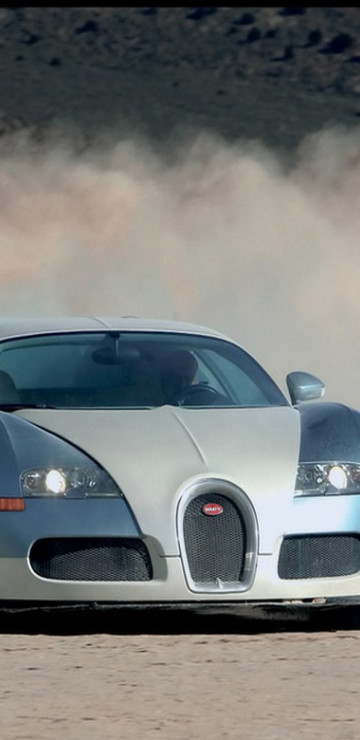 Bugatti (5).jpg
