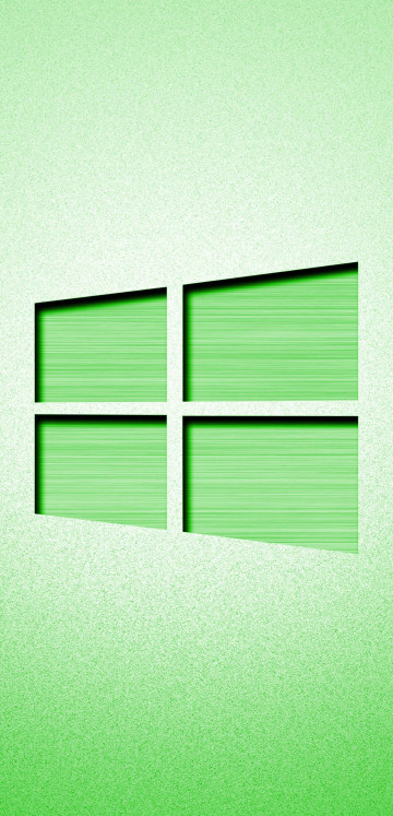 Windows (4)