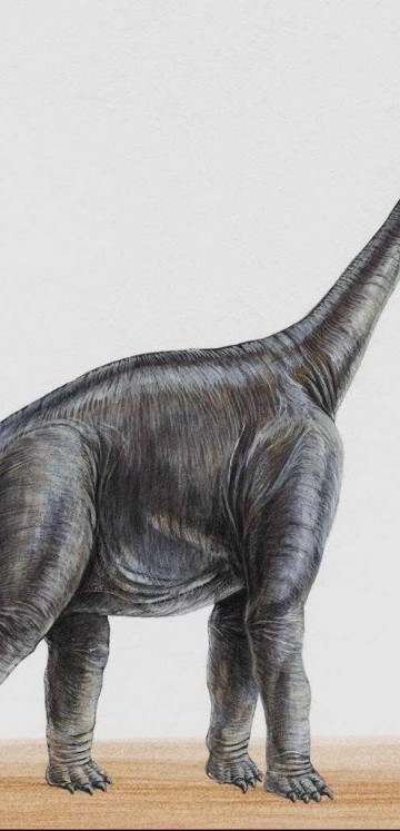 dinozaury (59).jpg