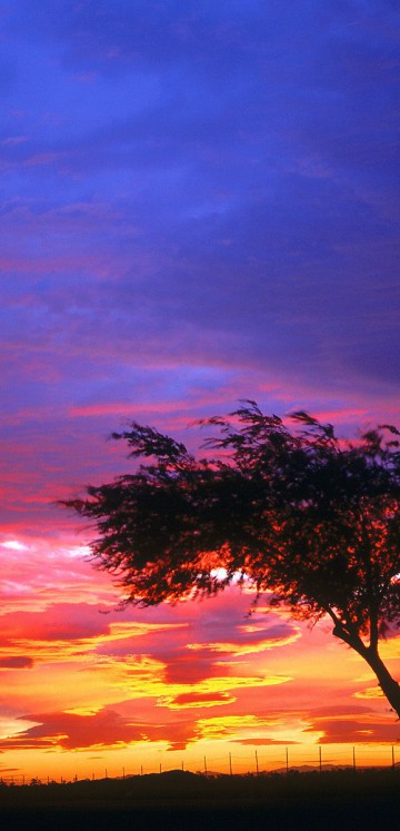 Sunrise, Palmdale, California.jpg